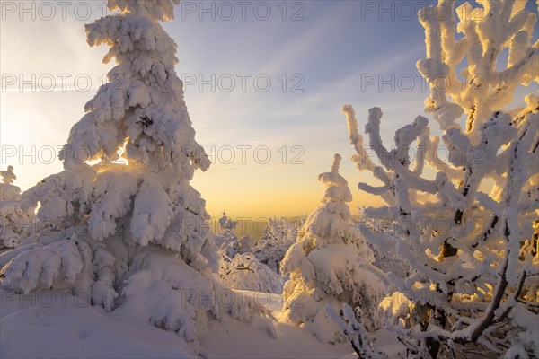 Winter on the Fichtelberg