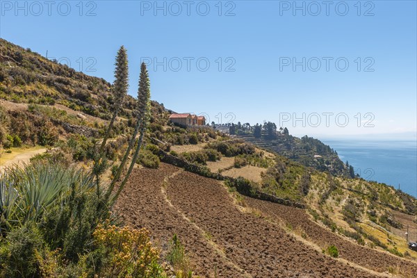 Terrace farming