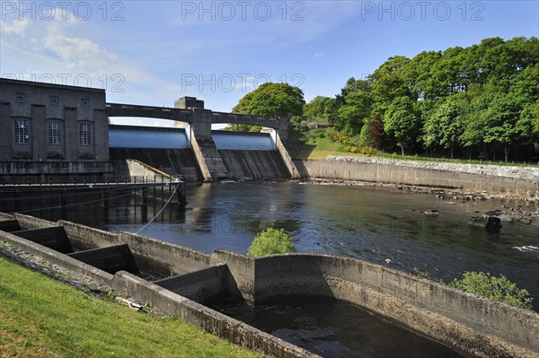 The Pitlochry fish ladder