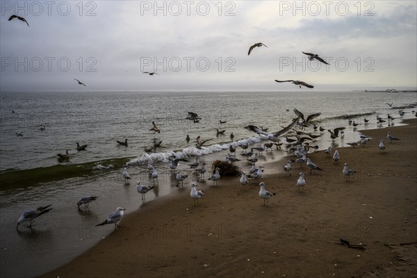 Cludy spring day on Brighton Beach