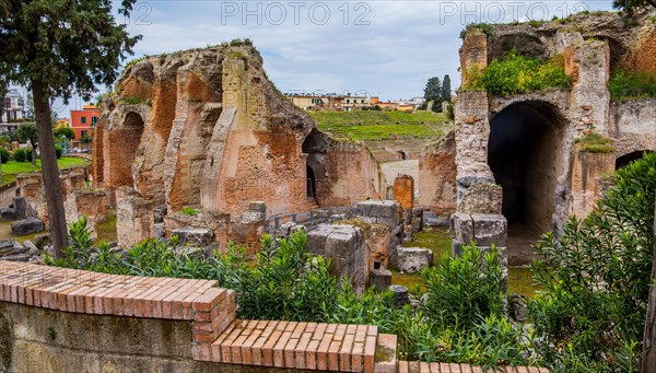 Ruins of the Flavian Amphitheatre