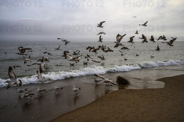 Cludy spring day on Brighton Beach