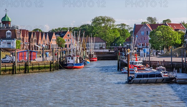 Historic cutter harbour with crab cutters