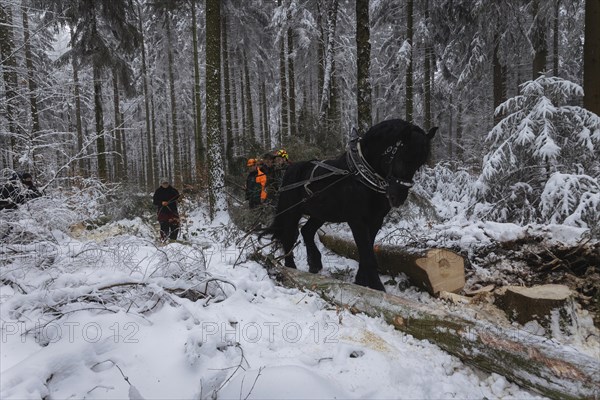 Winter in the Ore Mountains