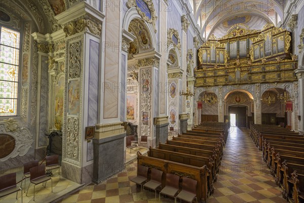 View of the organ