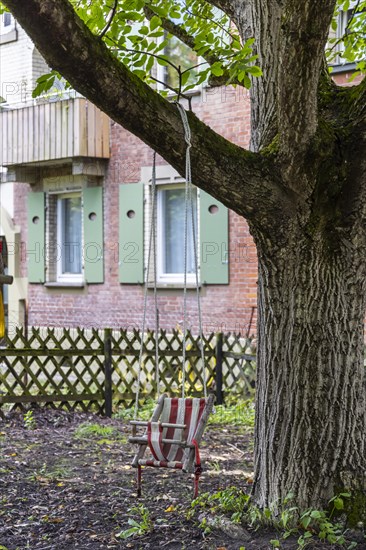 Children's swing on a tree