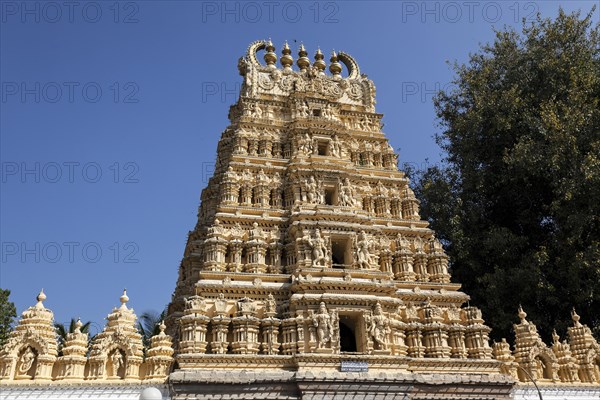 Sri Shweta Varahaswamy Temple