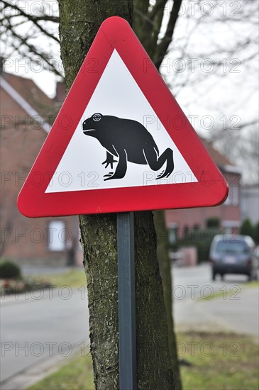 Warning sign for migrating amphibians