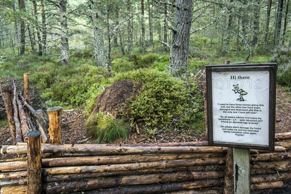 Warning sign near fenced anthill of red wood ants