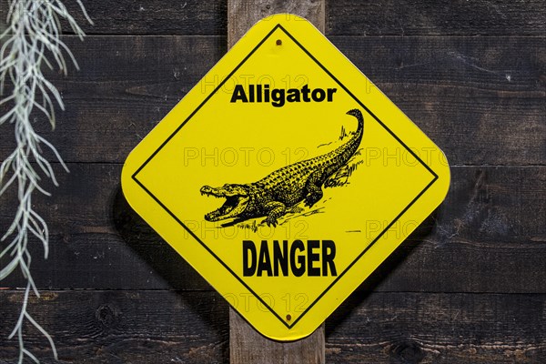 Yellow alligator warning sign
