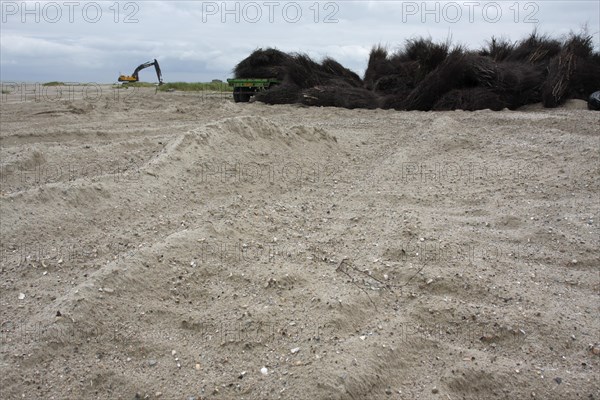 Construction measures on the uninhabited island of Minsener Oog in zone 1 in the Lower Saxony Wadden Sea National Park