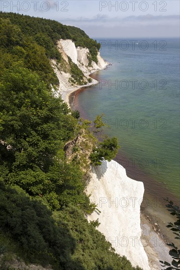 Chalk cliffs and chalk coast