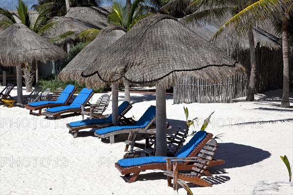 Sunbeds and umbrellas on the beach