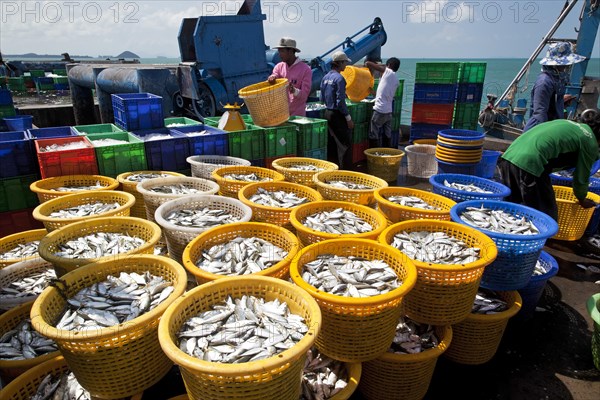 Fishermen