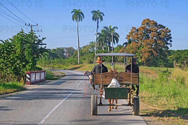 Two Cubans riding in horse-drawn carriage along the Circuito Sur