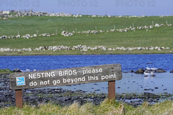 RSPB sign warning for nesting birds at breeding colony of Arctic terns along the shoreline of Loch of Funzie on the island Fetlar