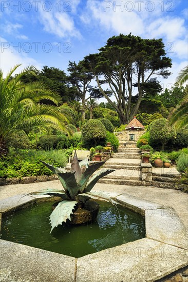 Mediterranean Garden with Fountain