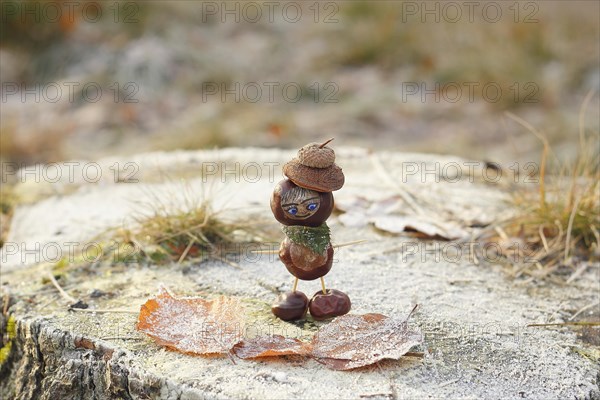 Funny chestnut figure in winter