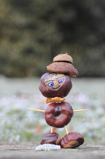 Funny chestnut figure in winter