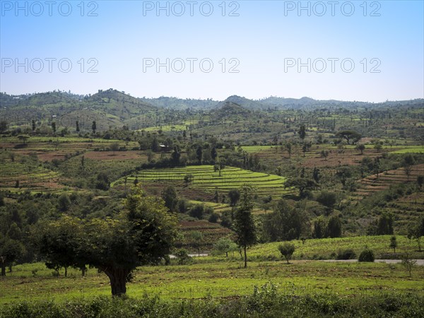 Hilly landscape with terraced fields