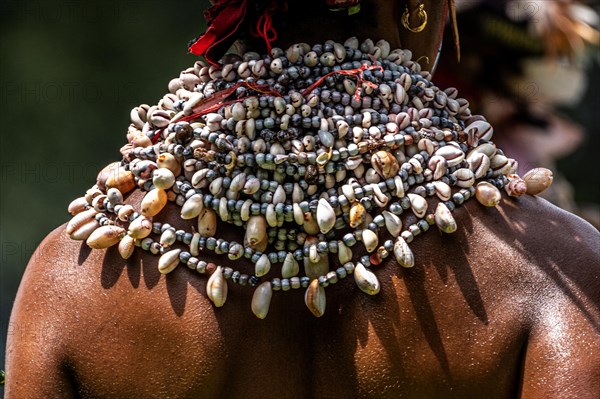 Warrior with valuable splendour jewellery