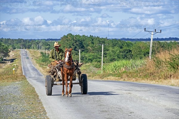 Cuban man riding horse-drawn cart along the Carretera Central