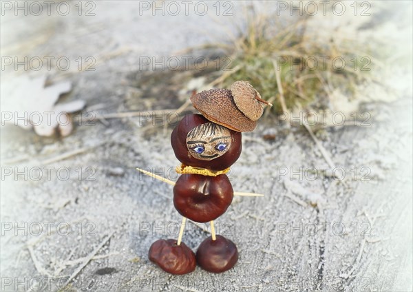 Funny chestnut figure in winter