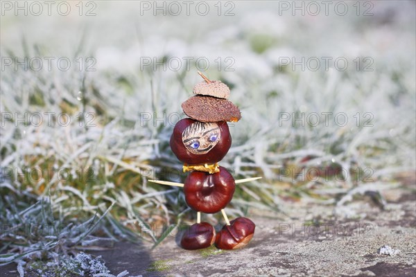 Funny chestnut figure in winter