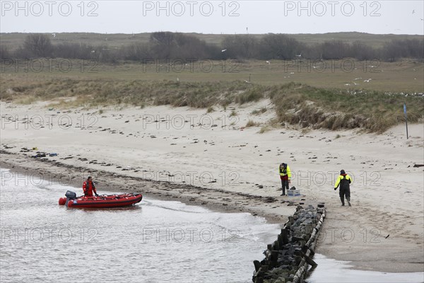 Arrival of the bird warden on the island of Minsener Oog