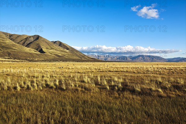 Landscape near El Calafate