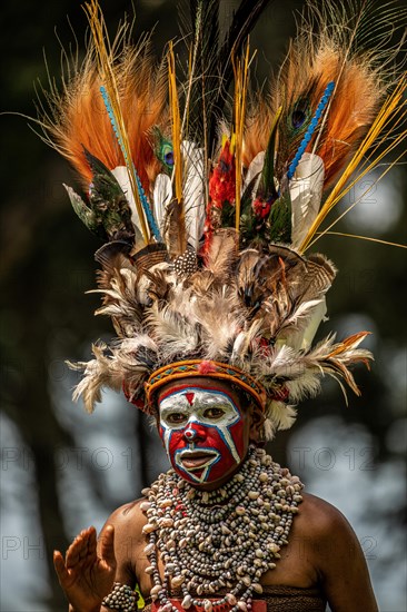Warrior with valuable splendour jewellery