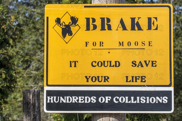 Yellow warning sign for moose