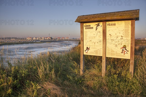 Salt marsh and mudflats at the nature reserve De IJzermonding at Nieuwpoort