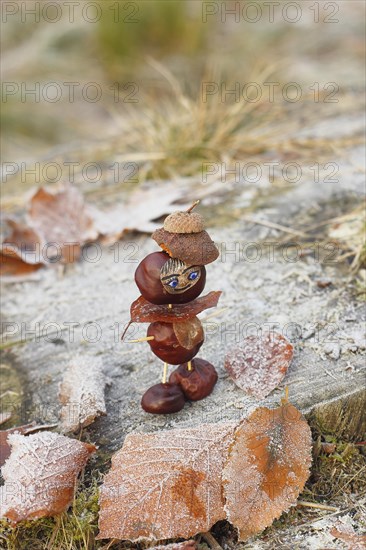 Funny chestnut figure in winter