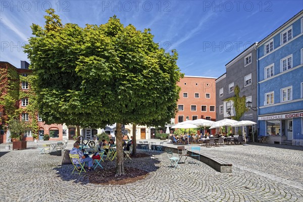 Outdoor seat on square under Norway maple