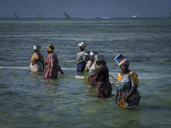 Women in the water