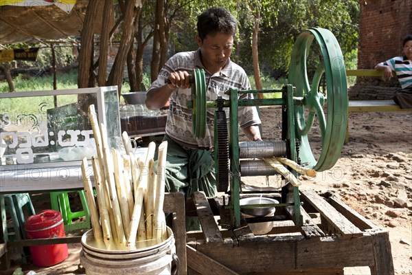 Man pressing sugar cane juice