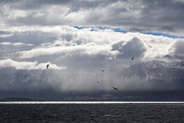 Beagle Channel