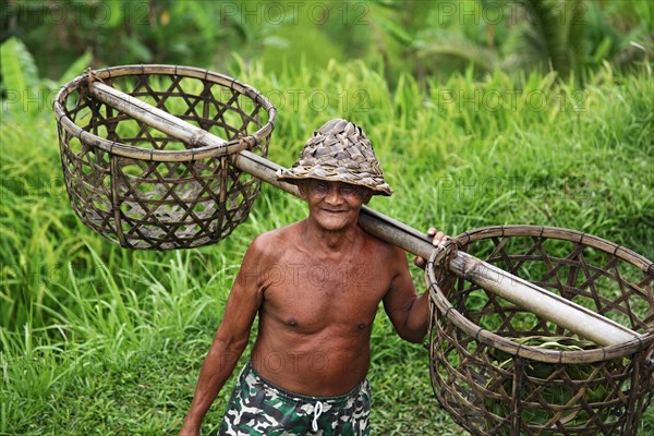 Farmer with baskets