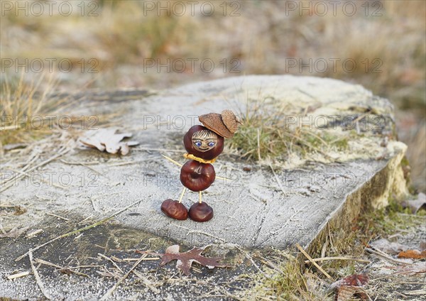 Funny chestnut figure in winter