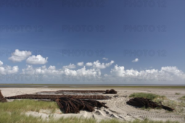 Construction measures on the uninhabited island of Minsener Oog in zone 1 in the Lower Saxony Wadden Sea National Park