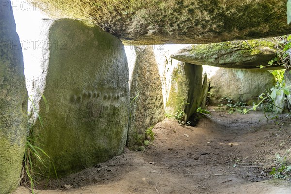 Reliefs of female breasts in the dolmen of Kerguntuil near Tregastel