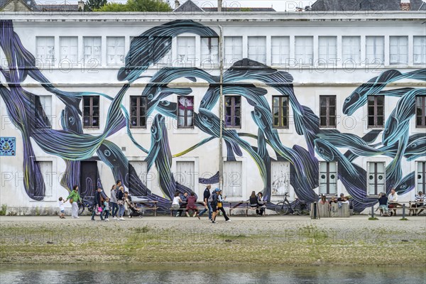 Mural by street artist Pantonio with blue fish in Vannes