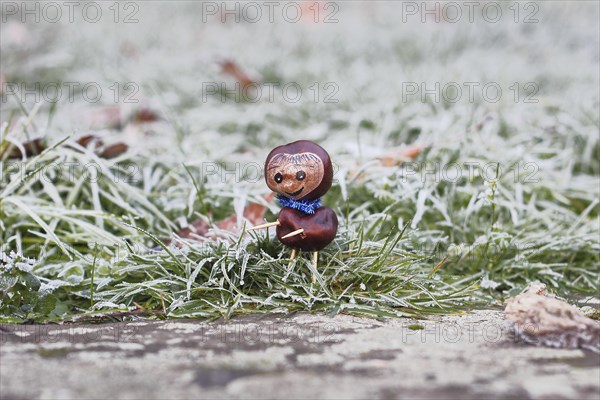 Funny chestnut figure in winter