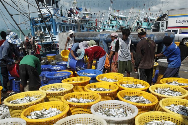 Fishermen and fish baskets