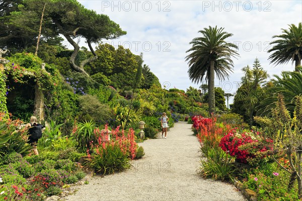 Subtropical 19th century garden with visitors