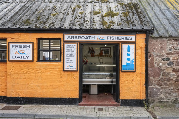 Regional fish specialities shop