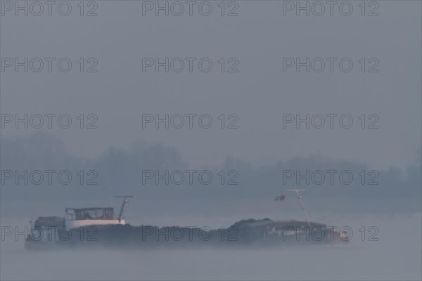 Cargo ship in the fog on the Weser