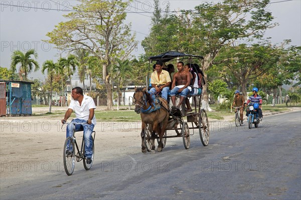 Public transport by horse and carriage in Granma