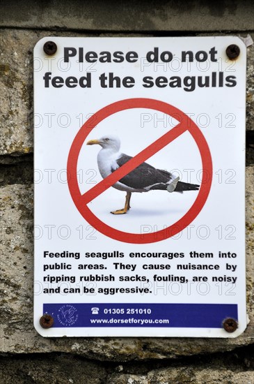Please do not feed the seagulls prohibition sign in harbour at Dorset